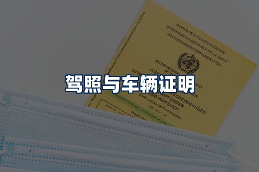 车辆证明展示