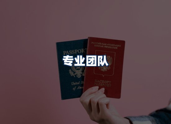 专业团队